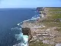 Vue des falaises depuis Dún Aengus.