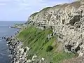 Falaise à l'est de St Alban's Head