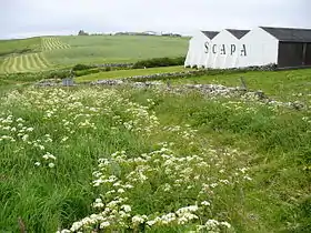 Image illustrative de l’article Scapa (distillerie)