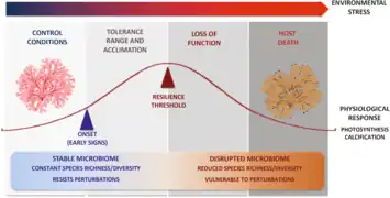 Effet du changement climatique sur l'holobionte et son hôte.