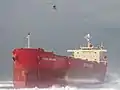 L’hélitreuillage de l’équipage du Pasha Bulker.