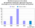 Graphique en barre : nombre de peaux et crânes vus en vente sur les marchés de Tachilek. 1992 : 20 peaux entières ; 1998 : 51 peaux ; 1999 : 97 peaux ; 2002 : 23 peaux ; 2006 : 22 peaux et crânes.