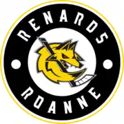 Description de l'image Club des hockeyeurs roannais.png.