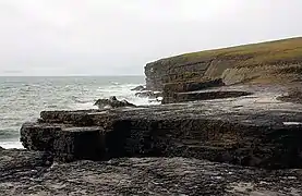 La côte à Loop Head.