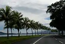 Photographie d'une route entourée de palmiers.