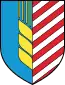 Blason de Salihorsk