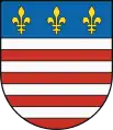 Blason de Staré Mesto