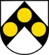 Blason de Holziken