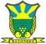 Blason de Vasilevo