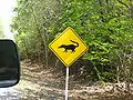 Panneau de signalisation routière signalant un passage de coatis au Guatemala