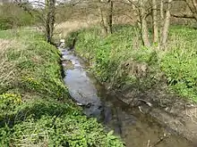 Photo d'un ruisseau coulant entre des berges couvertes d'herbe.