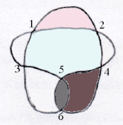 Courbe à 6 croisements de code de Gauss : (1,2,4,6,5,4,2,1,3,5,6,3)