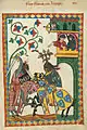 Dans le Codex Manesse, Frédéric II de Linange (début XIVe siècle)