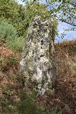 Image illustrative de l’article Menhir du Tertre Gicquel