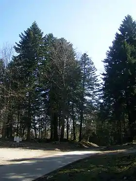 Image illustrative de l’article Col de l'Épine (Savoie)