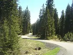 Portion facile entre la forêt de la réserve naturelle de la Tourbière des Saisies-Val d'Arly et celle de Covetan.