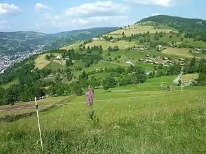 Col du Brabant - Vue depuis les pistes sur la Bresse et les chalets