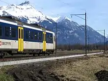 Un Colibri sur la « Ligne du Tonkin »  près d'Illarsaz.