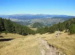 Vue depuis le Coll Mitjà vers le nord.