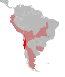 Aire de répartition du Colocolo également appelé Chat des Pampas (Leopardus colocolo) dans le modèle à trois espèces.