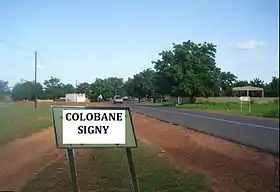 Colobane Signy