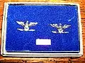 Paire d’insignes de captain de l'US Navy, équivalent du colonel de l'US Army, fabriqués par Hilborn & Hamburger, toujours dans leur boîte d'origine.