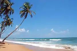 L'État de Goa, sur la côte ouest du pays, est célèbre pour ses étendues de plages qui attirent beaucoup de touristes étrangers.