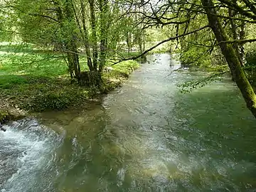 Le Coly au niveau du pont de Bouch.