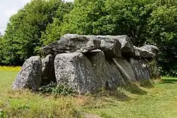 Image illustrative de l’article Allée couverte du Mougau-Bihan