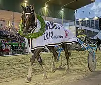 Au sulky de Commander Crowe après sa victoire dans le Hugo Abergs Memorial en 2013.