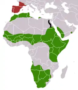 Aire de répartition de la Genette commune