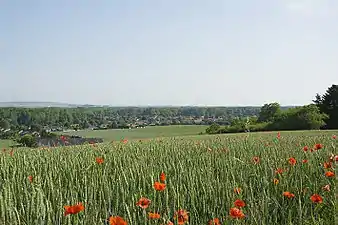 Le village de Crancey