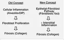 Etiology and pathobiology of Idiopathic Pulmonary Fibrosis