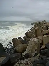 Tétrapodes de béton, brisant l'énergie des vagues.