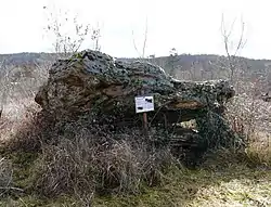Le dolmen de Fouret