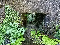 Vue du conduit gauche du bief menant sous le Moulin de Kerguerhent en période d'étiage.