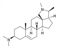 Image illustrative de l’article Conessine