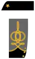 Major of Medical Corps' or volontary' (CSA)