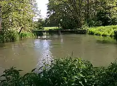 Confluence et séparation de deux bras de la Bresle