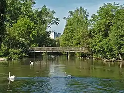 Confluence Bruche Ill à Strasbourg