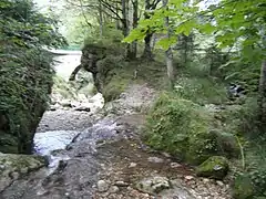 Confluence de la Drevenne et de la Scie