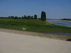 Confluence de la boire de Champtocé et de la Loire, à Ingrandes-sur-Loire.