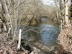 Le confluent de la Boucheuse (venant de la gauche) et de l'Auvézère (venant d'en face).