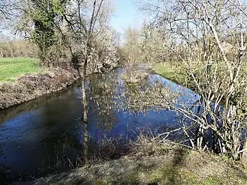 Confluent du Naussac et d'un bras de l'Isle.