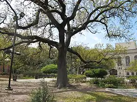 Image illustrative de l’article Congo Square