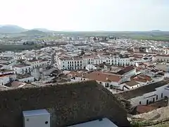 Photographie d'une partie du centre-ville depuis le château.