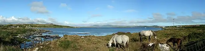 Poneys dans un environnement de lacs rocailleux.