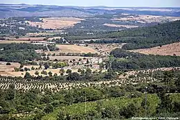 Paysage méditerranée de collines boisées et cultivées, au centre duquel est visible une abbaye.