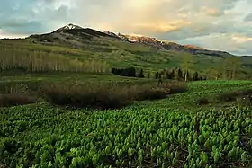 Image illustrative de l’article Forêt nationale de Gunnison