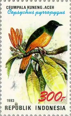 Description de l'image Copsychus pyrropygus 1993 Indonesia stamp.jpg.